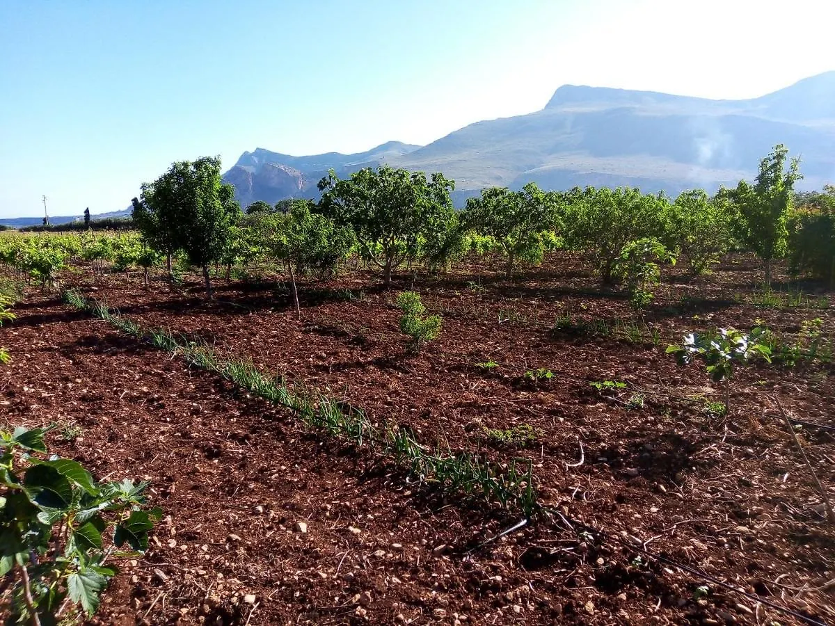 Farm stay Agriturismo Castelluzzo Organic Farm